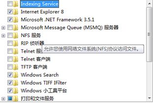 Win7 64位旗舰版缺失Internet信息服务？别急，教你轻松搞定